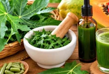 Papaya Leaf Extract