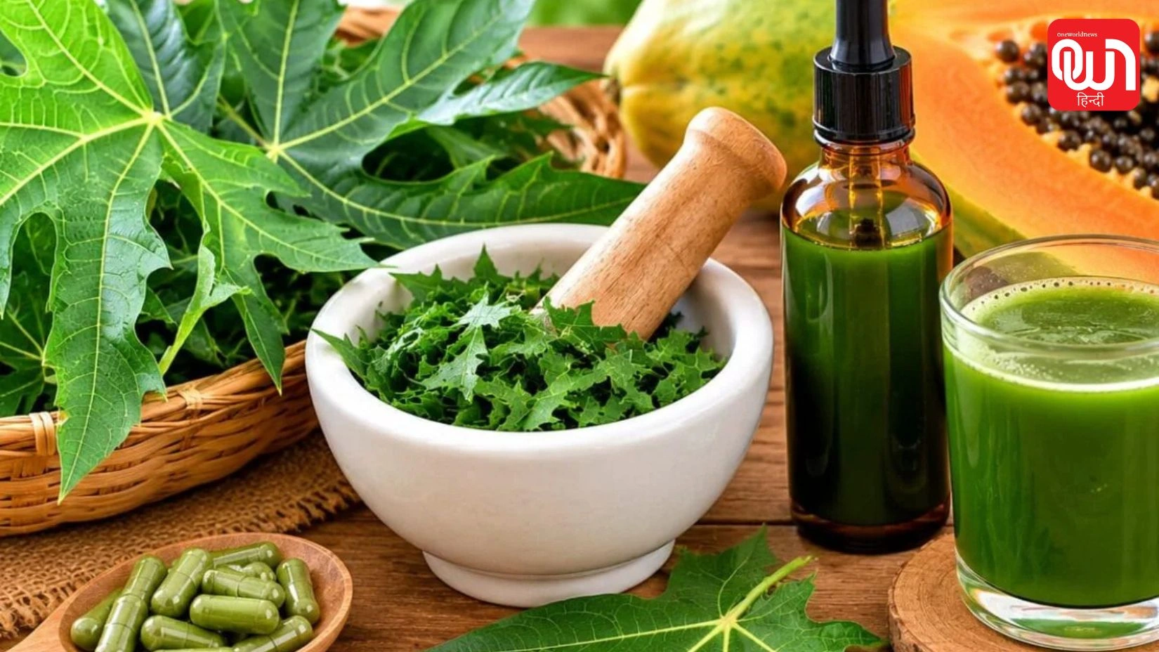 Papaya Leaf Extract: टाटा मेमोरियल की रिसर्च से मची हलचल, पपीते के पत्तों की दवा को लेकर एक्सपर्ट्स आमने-सामने 1 Papaya Leaf Extract