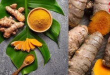 Raw Turmeric Benefits