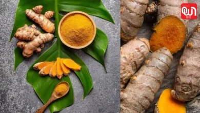 Raw Turmeric Benefits: कच्ची हल्दी खाने से क्या होता है? जानिए इसके 7 बड़े हेल्थ बेनिफिट्स 8 Raw Turmeric Benefits