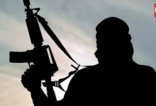 Terror Networks