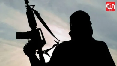 Terror Networks