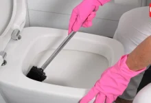 Toilet Stains