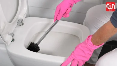Toilet Stains: पीली पड़ गई है टॉयलेट सीट? बस इस चीज से करें सफाई, नए जैसी चमक जाएगी 8 Toilet Stains