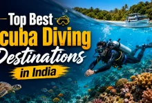 Top Best Scuba Diving Destinations in India