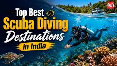 Top Best Scuba Diving Destinations in India: स्कूबा डाइविंग के लिए बेस्ट हैं ये Indian Places, कम खर्च में मिलेगा थाईलैंड जैसा मजा 8 Top Best Scuba Diving Destinations in India