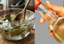 Vinegar Hack