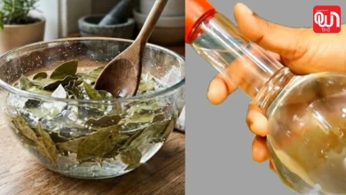 Vinegar Hack: रोजमर्रा की 5 समस्याओं का देसी जुगाड़, सफेद सिरका और तेज पत्ता करेंगे कमाल 8 Vinegar Hack