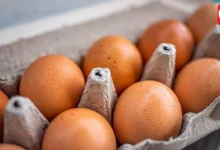 World Egg Day 2026