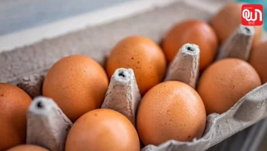 World Egg Day 2026