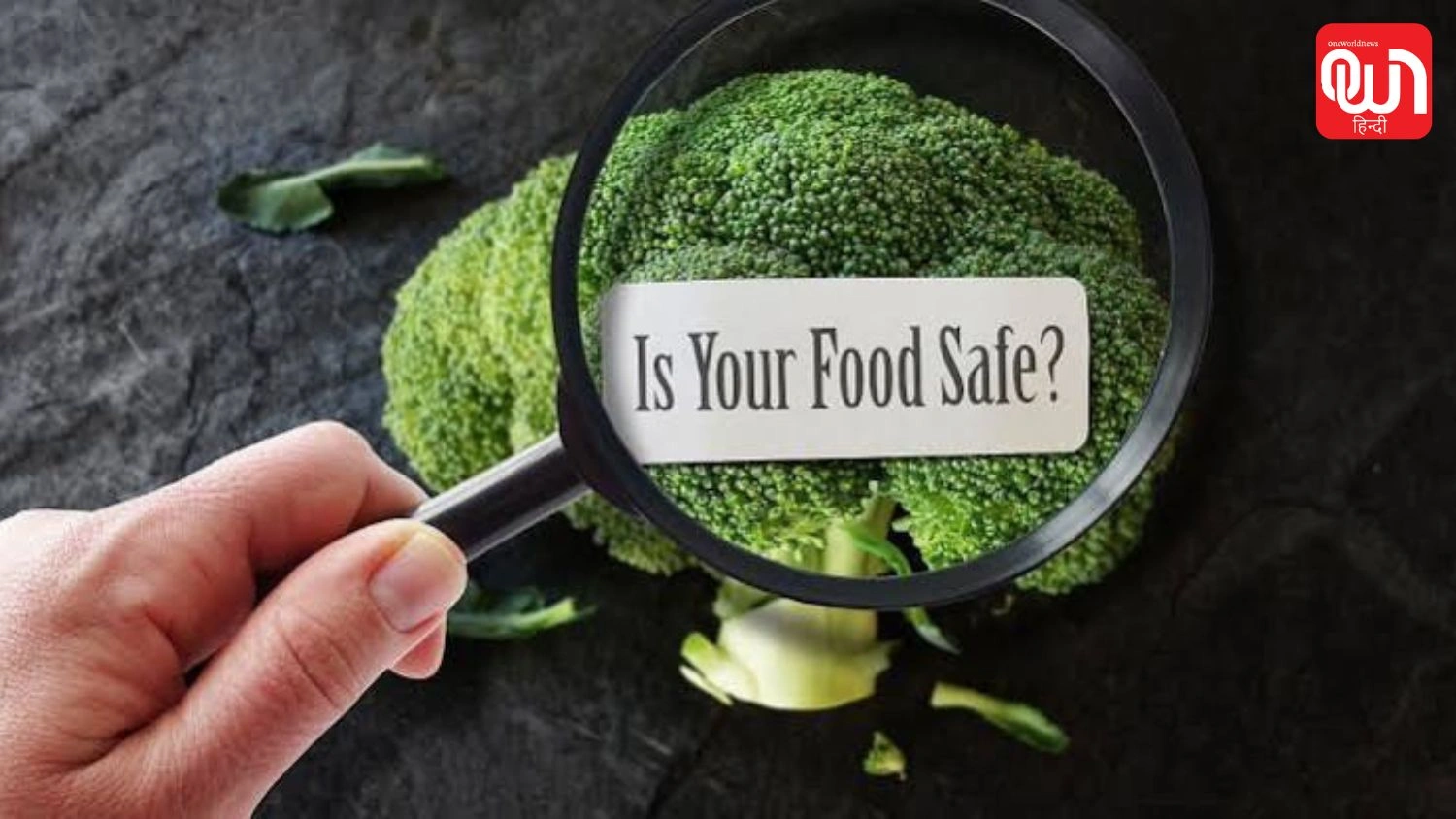 World Food Day 2026: हर व्यक्ति को क्यों जाननी चाहिए इस दिन की अहमियत? 1 World Food Day 2026