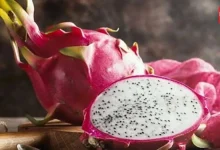 Dragon Fruit