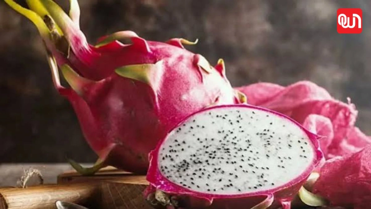 Dragon Fruit: शरीर में पानी की कमी और आयरन की कमी में कितना फायदेमंद है ड्रैगन फ्रूट? 1 Dragon Fruit