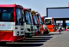 Free Bus Service