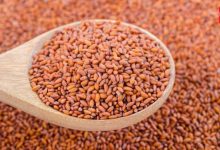 Halim seeds