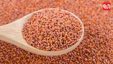 Halim seeds