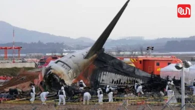 Jeju Air crash