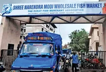 Narendra Modi Fish Market