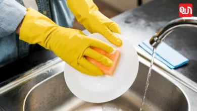 Old Sponge Reuse Ideas: पुराना स्क्रब है बड़े काम की चीज! घर और गार्डन के 10 काम मिनटों में होंगे आसान 8 Old Sponge Reuse Ideas