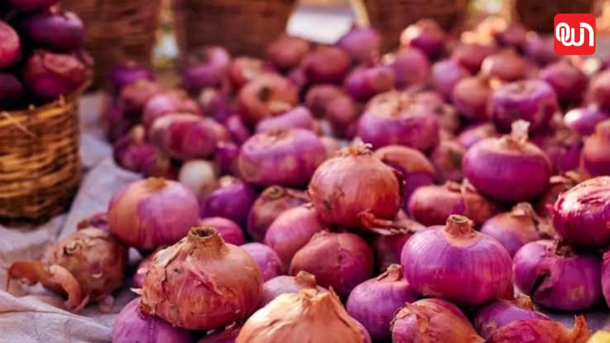 Onion Inflation: महंगा हुआ प्याज तो सरकार ने चलाया ‘कांदा एक्सप्रेस’, 59% कीमत बढ़ने के बाद बड़ा फैसला 1 Onion Inflation
