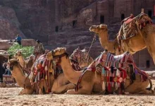 Pushkar Camel Fair 2026