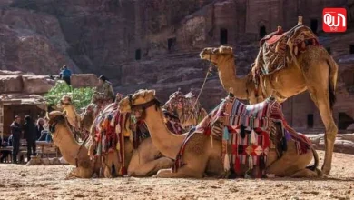 Pushkar Camel Fair 2026