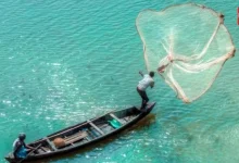 World Fisheries Day 2026