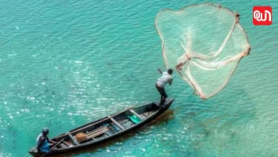 World Fisheries Day 2026