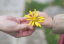 World Kindness Day 2026