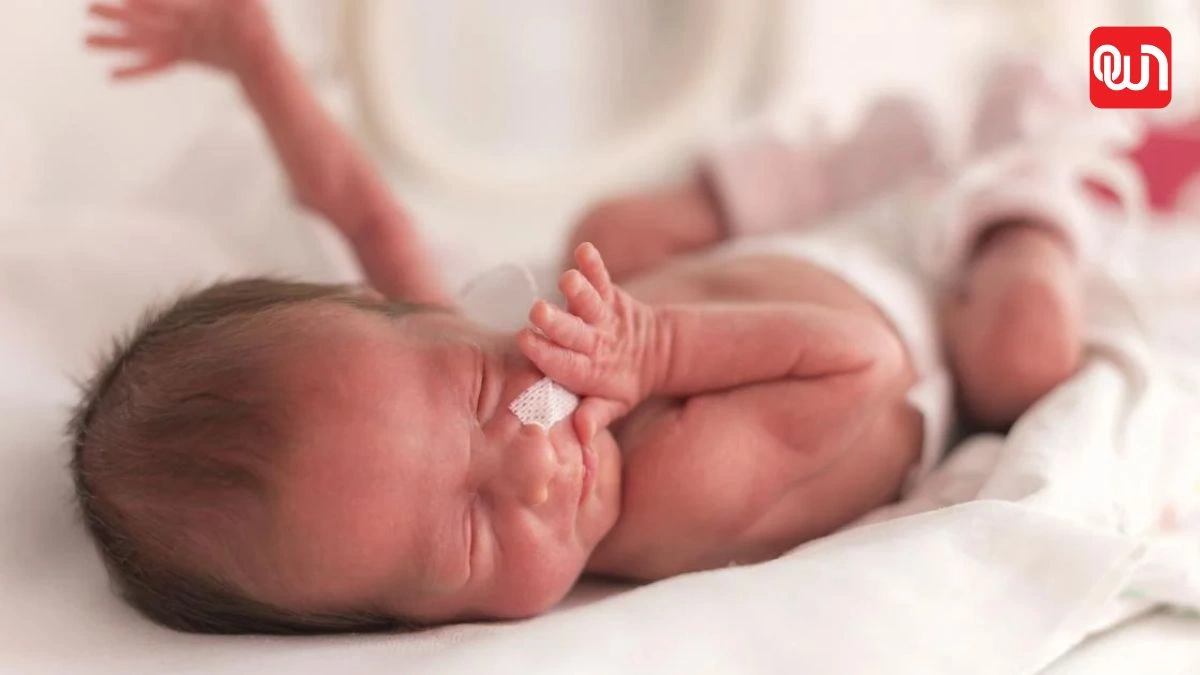 World Prematurity Day 2026: समय से पहले जन्मे बच्चों के लिए क्यों खास है यह दिन? जानें इतिहास और महत्व 1 World Prematurity Day 2026
