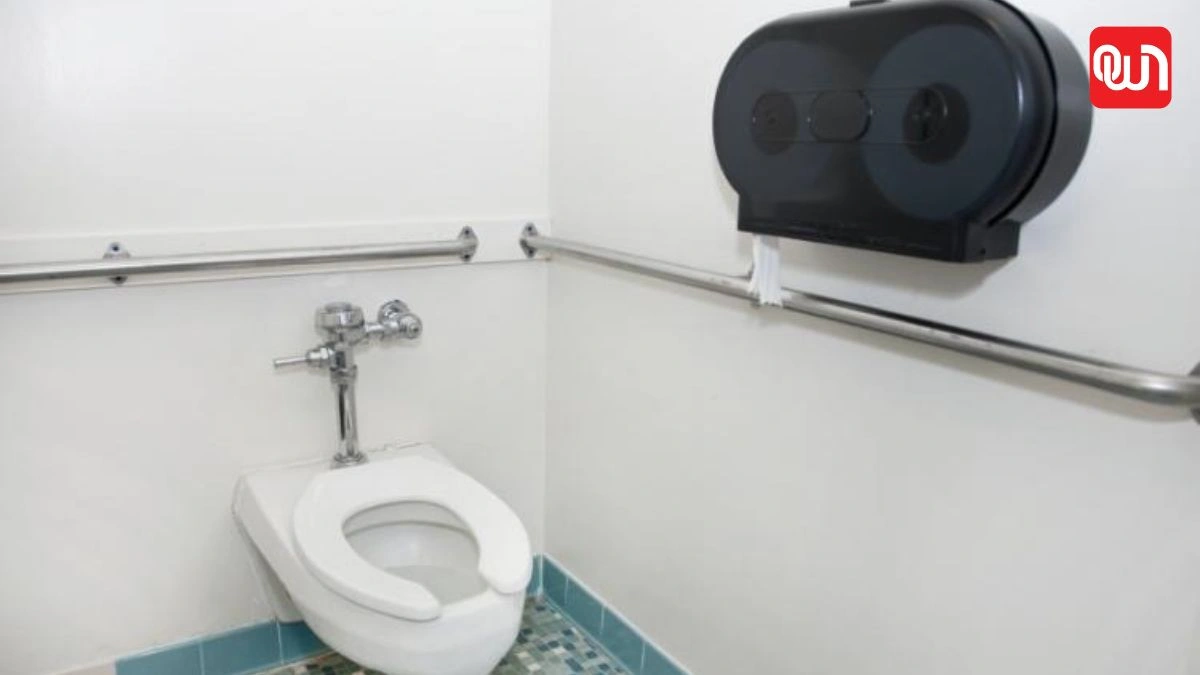 World Toilet Day 2026: सुरक्षित शौचालय क्यों है हर इंसान के लिए जरूरी? जानें खास बातें 1 World Toilet Day 2026