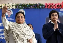 BSP politics