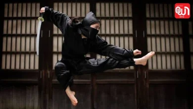International Ninja Day 2026