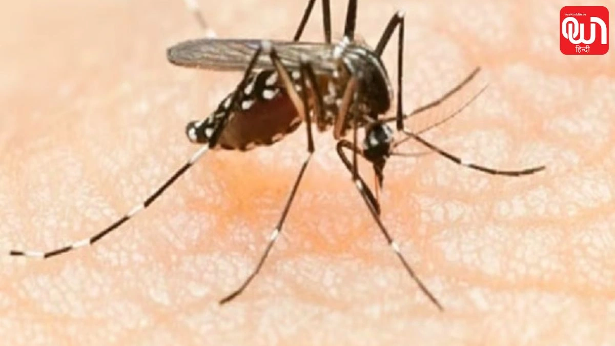 Delhi Dengue Cases 2026: दिल्ली में बढ़ रहे डेंगू के मामले, जानें शुरुआती लक्षण और मच्छर के काटने से बीमारी तक का समय 1 Delhi Dengue Cases 2026