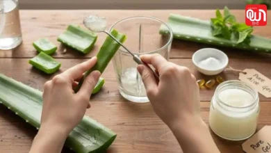 Homemade Aloe Vera Gel