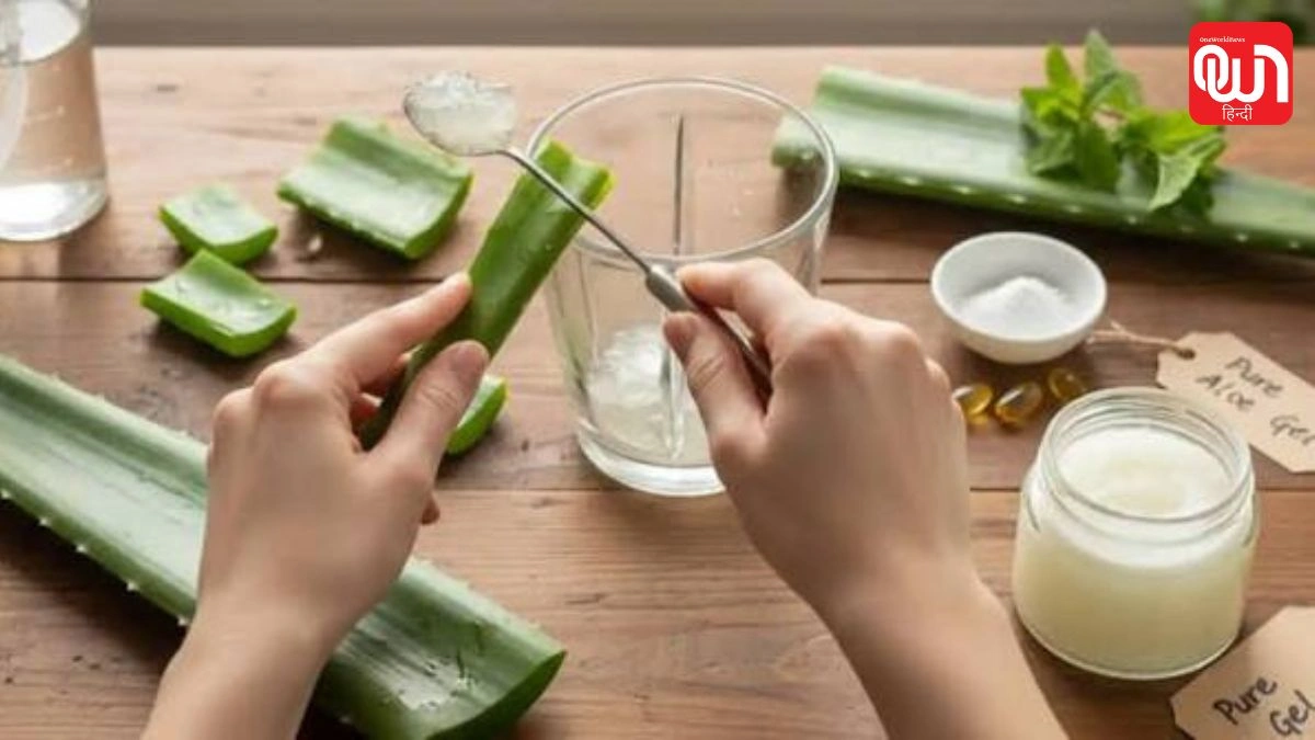 Homemade Aloe Vera Gel: सिर्फ एलोवेरा की पत्ती से बनाएं होममेड जेल, जानें सही तरीका और सावधानियां 1 Homemade Aloe Vera Gel