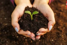 World Soil Day 2026