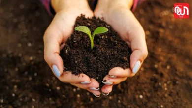 World Soil Day 2026