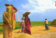 Kisan Diwas 2026