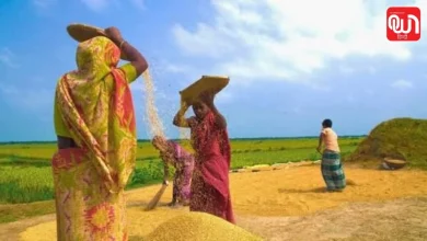 Kisan Diwas 2026