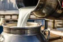 Milk Prices