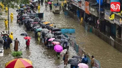 IMD weather Alert