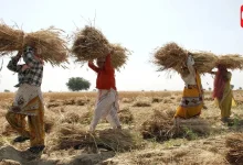 Farmers Subsidy