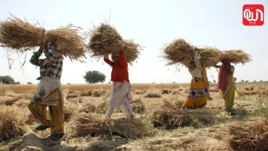 Farmers Subsidy
