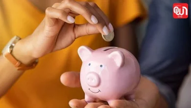 Small Savings Schemes