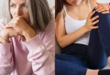Menopause Hormones