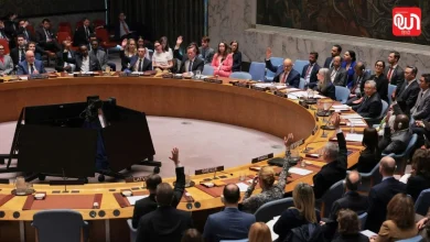 UN Security Council veto