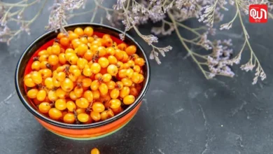 Sea Buckthorn