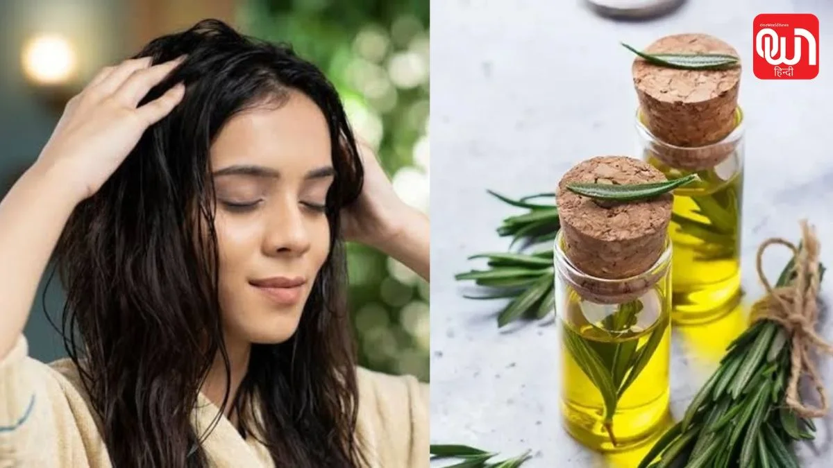 Rosemary Oil को लेकर बड़ा दावा! क्या सच में Minoxidil जितना करता है बालों पर असर? 1 Rosemary Oil
